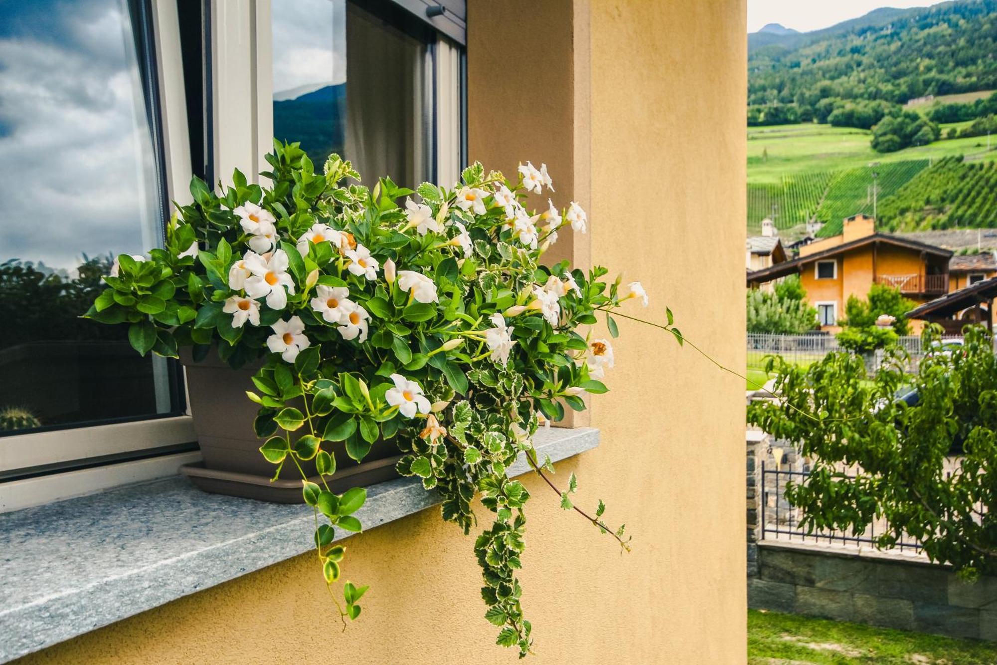 Appartement L'Envers Aosta Exterior foto